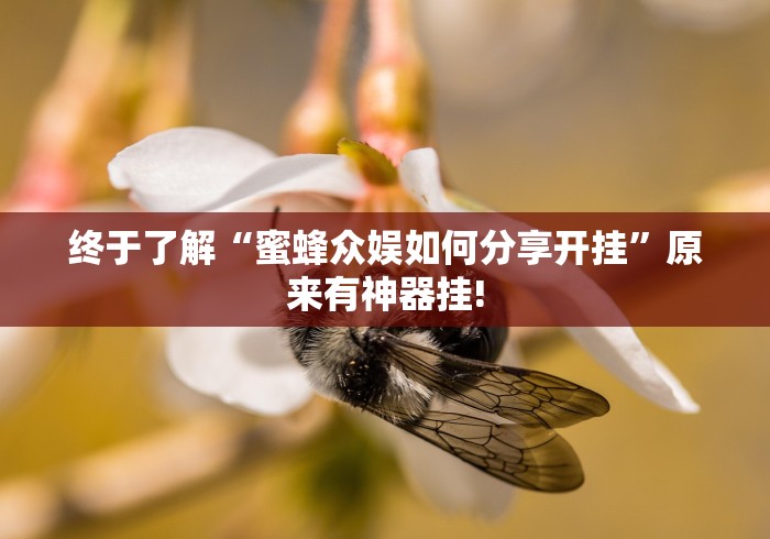 终于了解“蜜蜂众娱如何分享开挂”原来有神器挂!