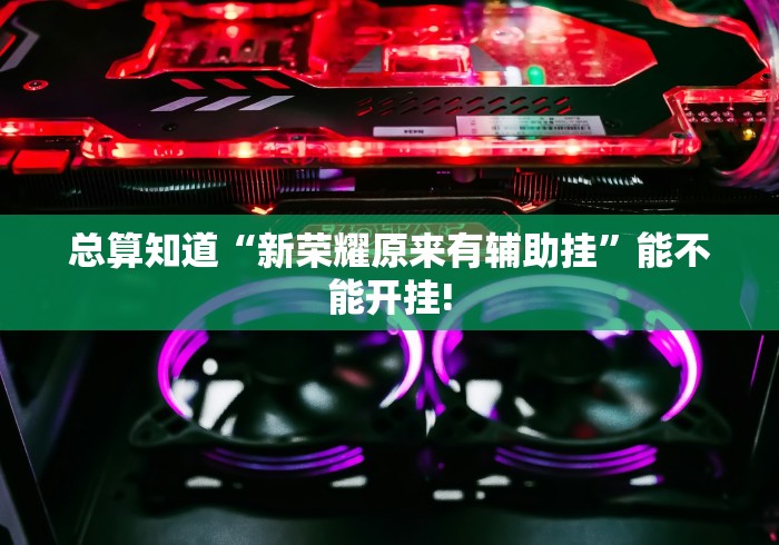 总算知道“新荣耀原来有辅助挂”能不能开挂!