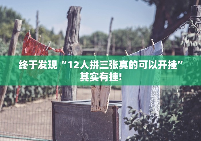 终于发现“12人拼三张真的可以开挂”其实有挂!