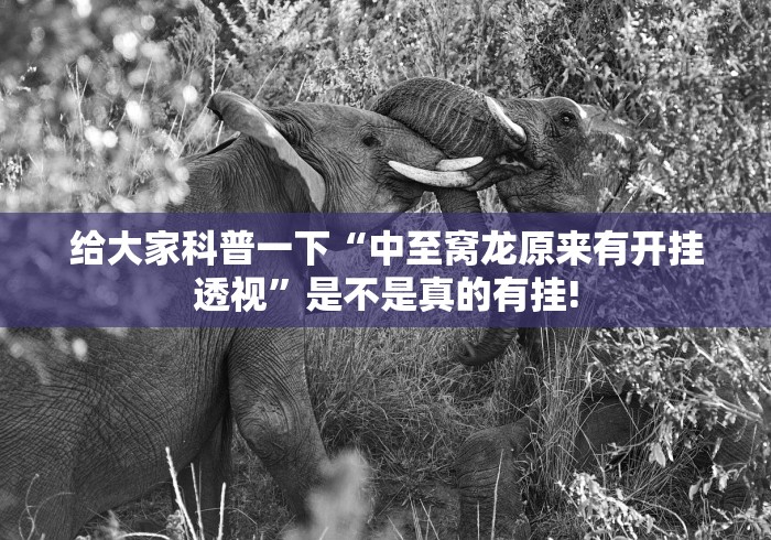 给大家科普一下“中至窝龙原来有开挂透视”是不是真的有挂!