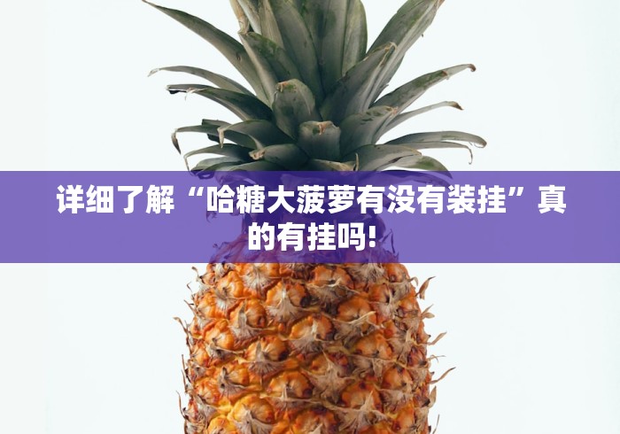 详细了解“哈糖大菠萝有没有装挂”真的有挂吗! 详细了解“哈糖大菠萝有没有装挂”真的有挂吗!