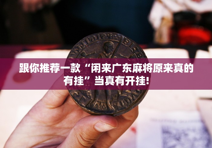 跟你推荐一款“闲来广东麻将原来真的有挂”当真有开挂!