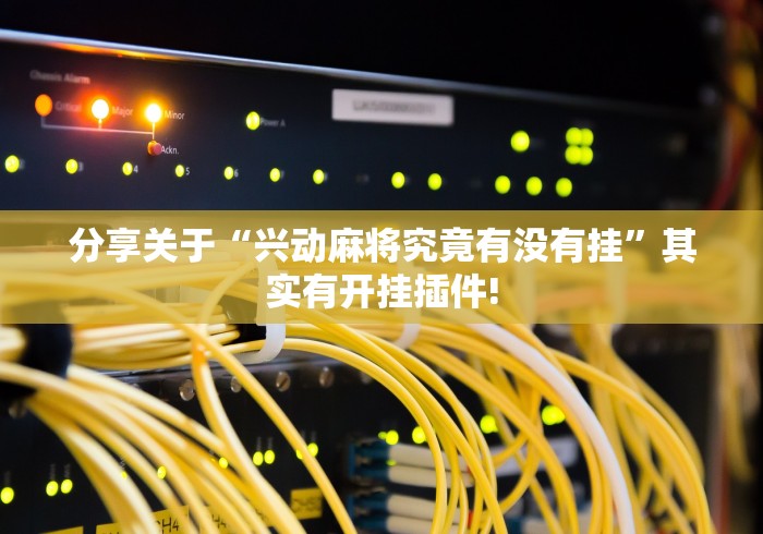 分享关于“兴动麻将究竟有没有挂”其实有开挂插件!