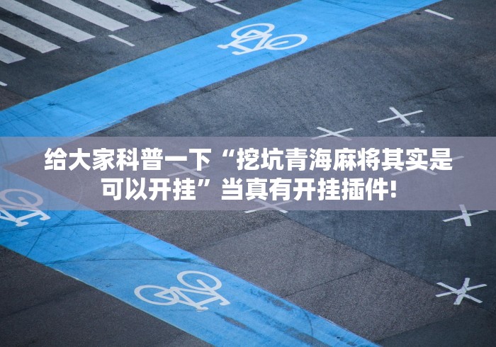 给大家科普一下“挖坑青海麻将其实是可以开挂”当真有开挂插件!