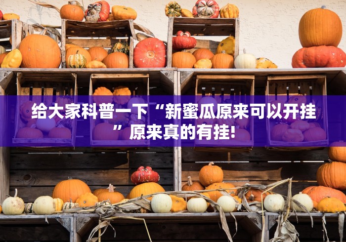 给大家科普一下“新蜜瓜原来可以开挂”原来真的有挂! 给大家科普一下“新蜜瓜原来可以开挂”原来真的有挂!