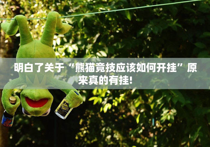 明白了关于“熊猫竟技应该如何开挂”原来真的有挂!