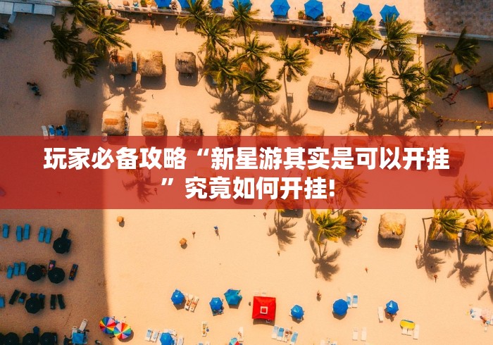 玩家必备攻略“新星游其实是可以开挂”究竟如何开挂!