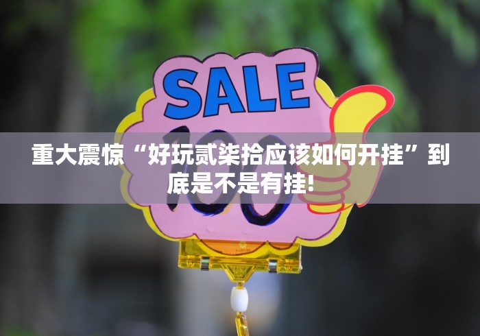 重大震惊“好玩贰柒拾应该如何开挂”到底是不是有挂! 重大震惊“好玩贰柒拾应该如何开挂”到底是不是有挂!