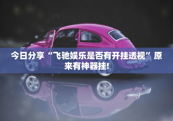 今日分享“飞驰娱乐是否有开挂透视”原来有神器挂!