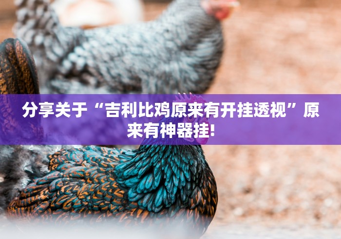 分享关于“吉利比鸡原来有开挂透视”原来有神器挂!