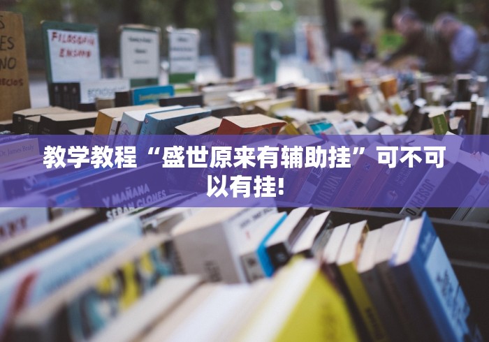 教学教程“盛世原来有辅助挂”可不可以有挂!