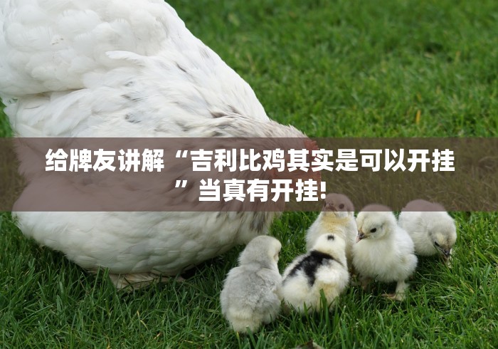 我来告诉大家“谷友娱乐是否有外卦”原来确实有开挂!