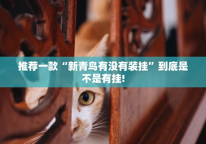 推荐一款“新青鸟有没有装挂”到底是不是有挂!