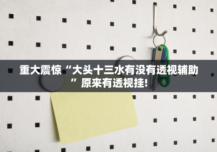 重大震惊“大头十三水有没有透视辅助”原来有透视挂!