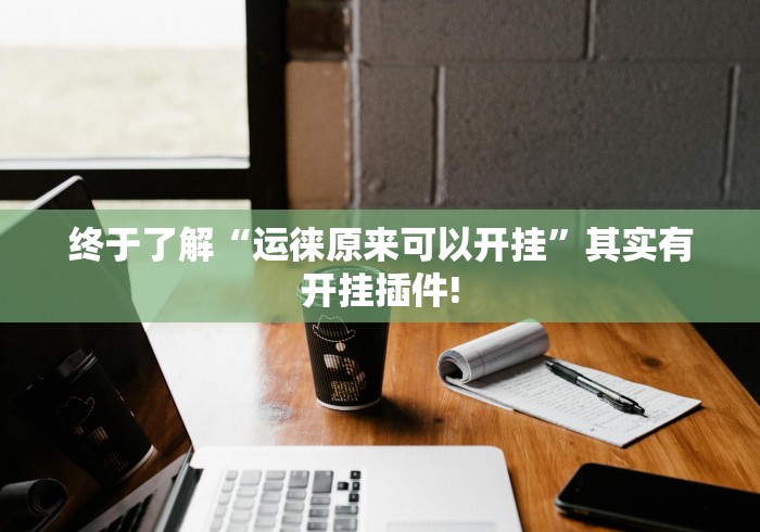 终于了解“运徕原来可以开挂”其实有开挂插件!