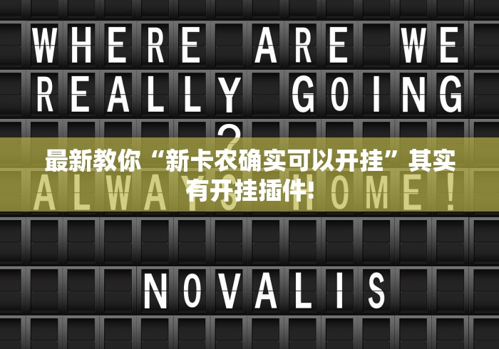 最新教你“新卡农确实可以开挂”其实有开挂插件!