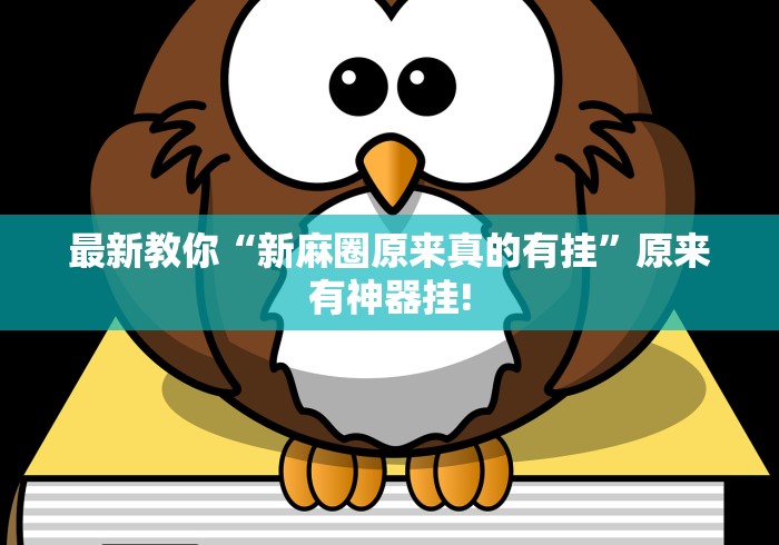 最新教你“新麻圈原来真的有挂”原来有神器挂!