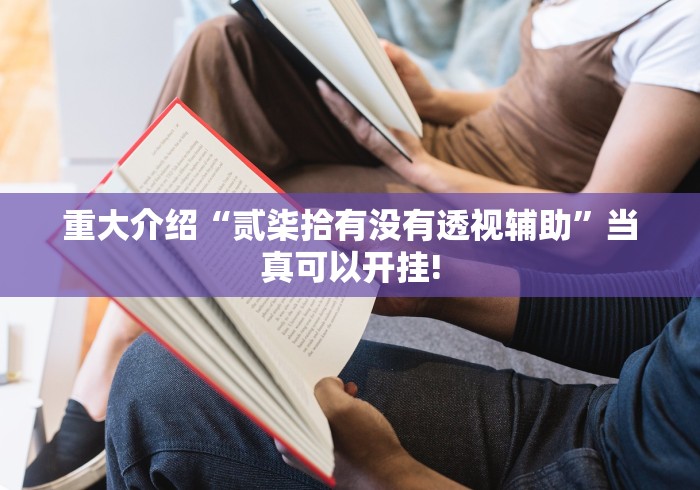 重大介绍“贰柒拾有没有透视辅助”当真可以开挂!