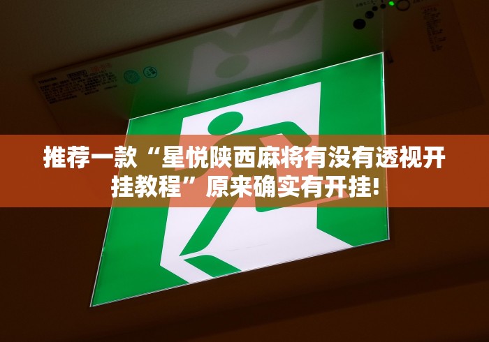 推荐一款“星悦陕西麻将有没有透视开挂教程”原来确实有开挂!