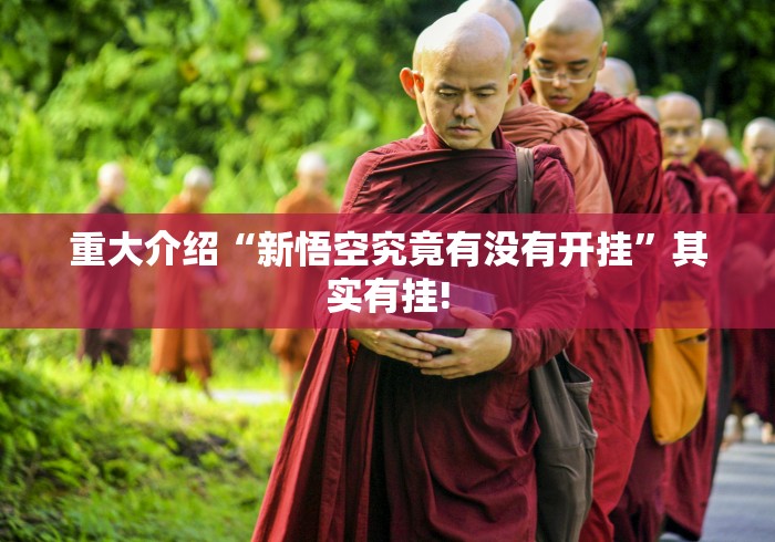 重大介绍“新悟空究竟有没有开挂”其实有挂!