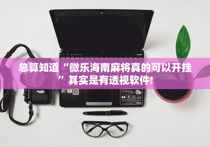 总算知道“微乐海南麻将真的可以开挂”其实是有透视软件!