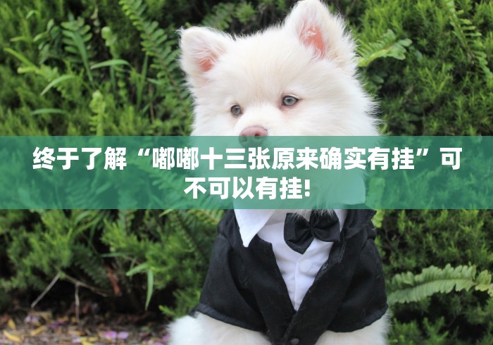 终于了解“嘟嘟十三张原来确实有挂”可不可以有挂!