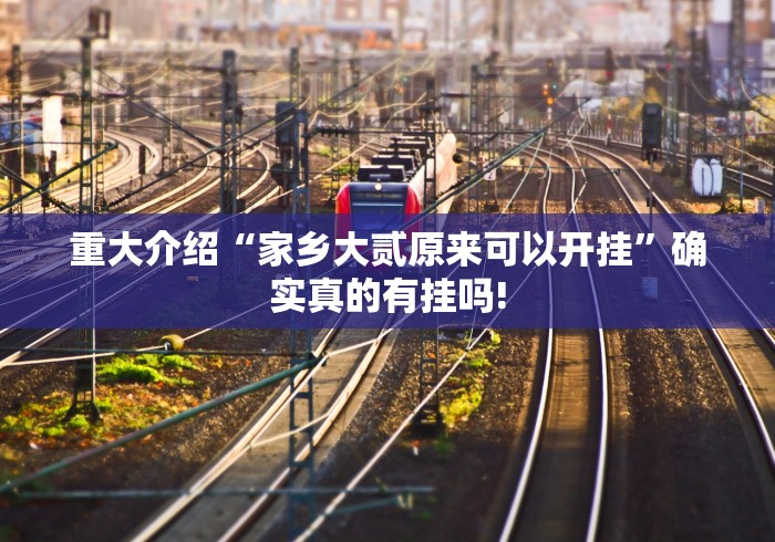 重大介绍“家乡大贰原来可以开挂”确实真的有挂吗!