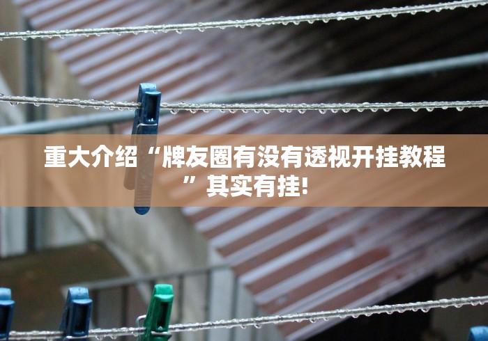 重大介绍“牌友圈有没有透视开挂教程”其实有挂!