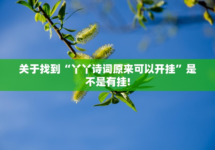 关于找到“丫丫诗词原来可以开挂”是不是有挂!