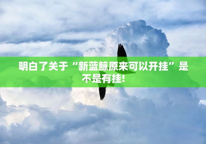 明白了关于“新蓝鲸原来可以开挂”是不是有挂!