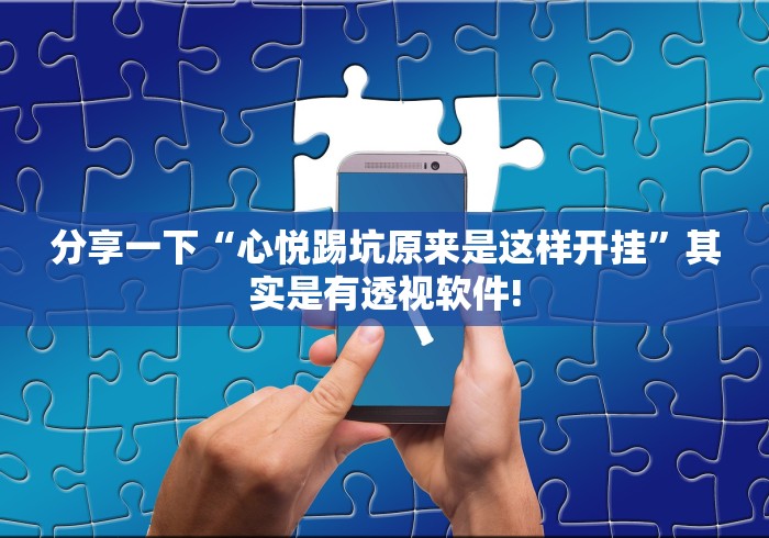 分享一下“心悦踢坑原来是这样开挂”其实是有透视软件!