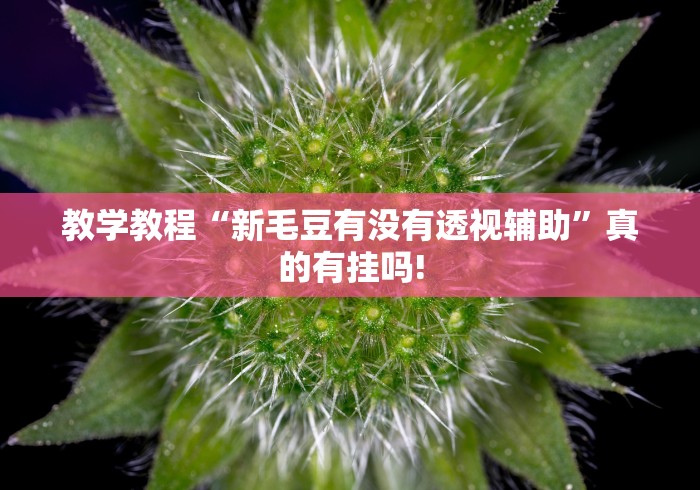 教学教程“新毛豆有没有透视辅助”真的有挂吗!
