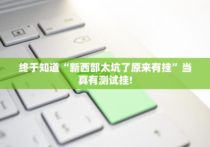 终于知道“新西部太坑了原来有挂”当真有测试挂!
