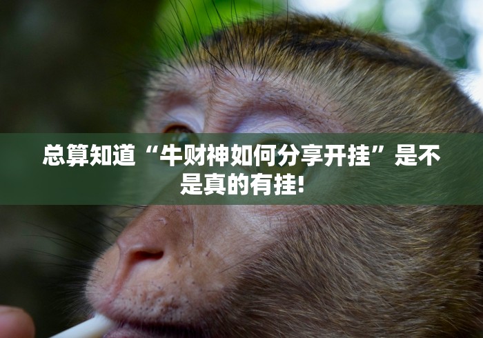 总算知道“牛财神如何分享开挂”是不是真的有挂!