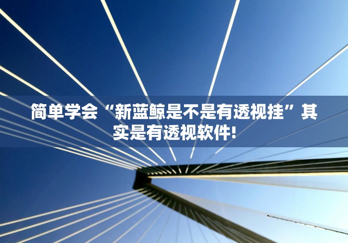 简单学会“新蓝鲸是不是有透视挂”其实是有透视软件!
