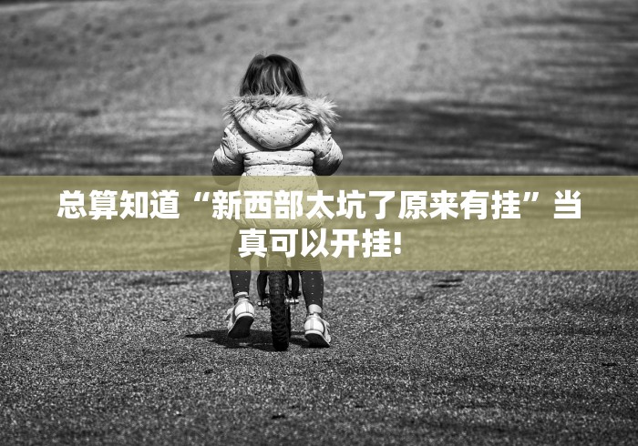 总算知道“新西部太坑了原来有挂”当真可以开挂!