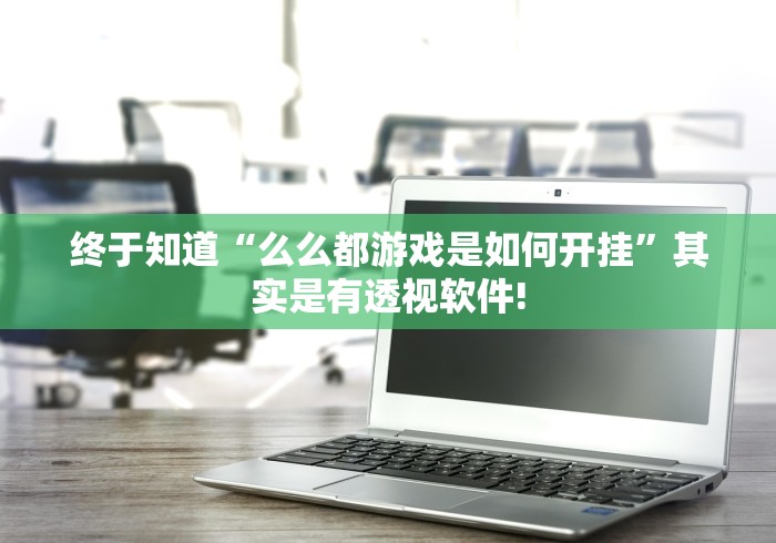 终于知道“么么都游戏是如何开挂”其实是有透视软件!