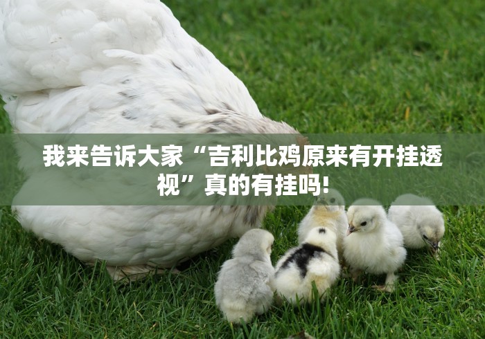 我来告诉大家“吉利比鸡原来有开挂透视”真的有挂吗!