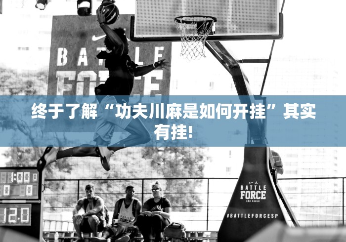 终于了解“功夫川麻是如何开挂”其实有挂!