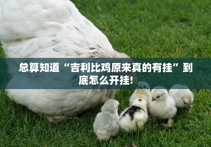 总算知道“吉利比鸡原来真的有挂”到底怎么开挂!