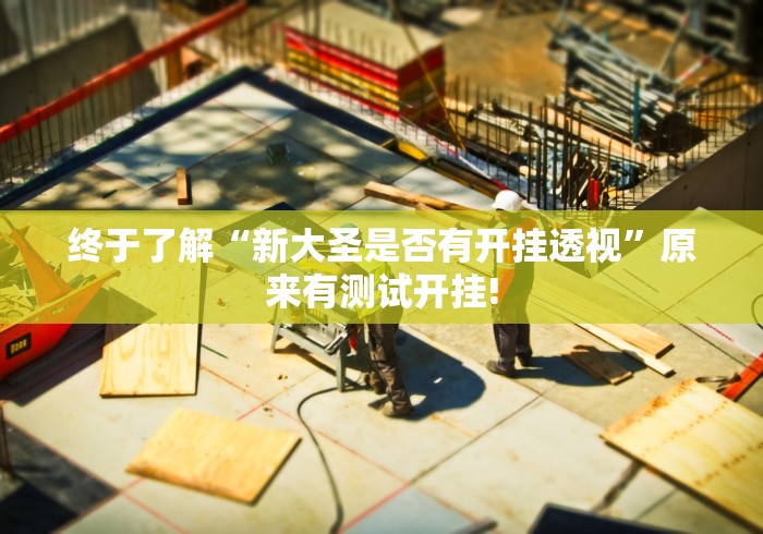 终于了解“新大圣是否有开挂透视”原来有测试开挂!