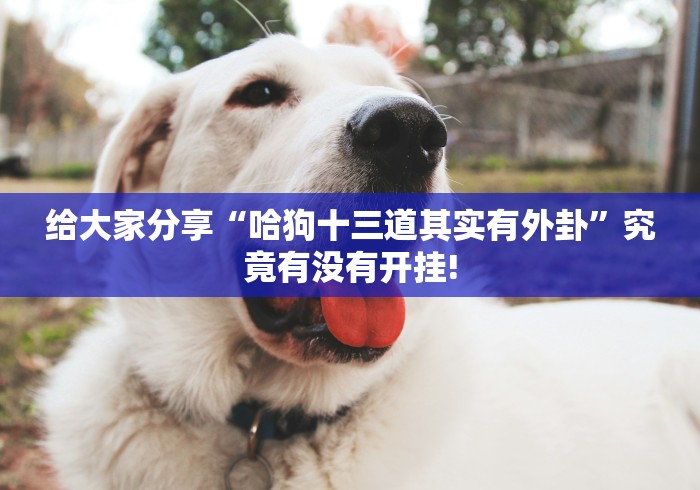 给大家分享“哈狗十三道其实有外卦”究竟有没有开挂!