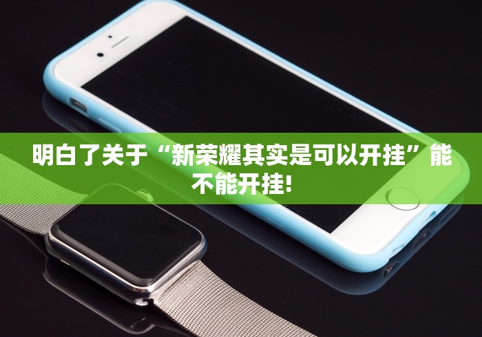 明白了关于“新荣耀其实是可以开挂”能不能开挂!