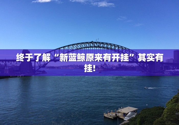 终于了解“新蓝鲸原来有开挂”其实有挂!