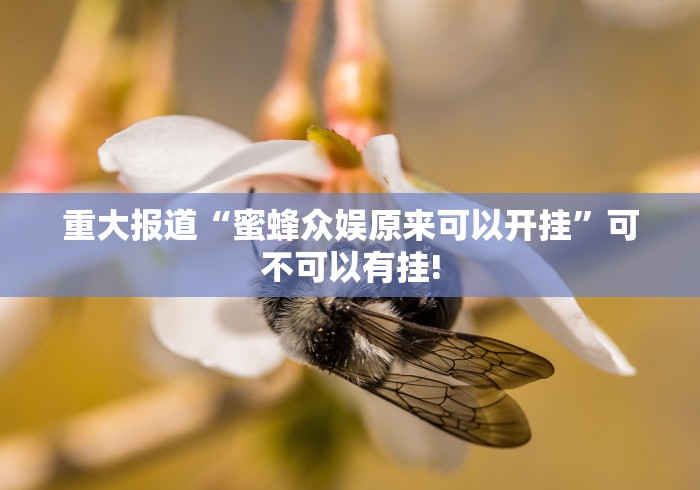重大报道“蜜蜂众娱原来可以开挂”可不可以有挂!
