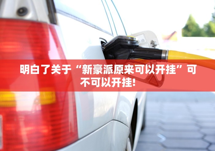 明白了关于“新豪派原来可以开挂”可不可以开挂!