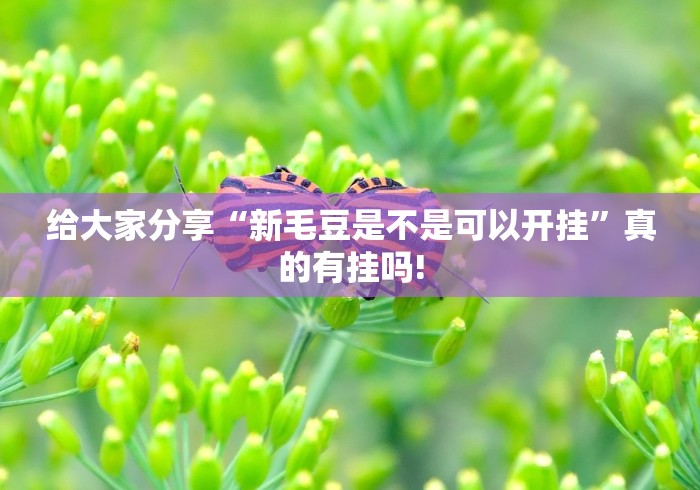 给大家分享“新毛豆是不是可以开挂”真的有挂吗!