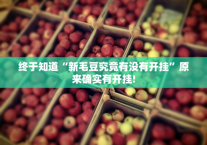 终于知道“新毛豆究竟有没有开挂”原来确实有开挂! 终于知道“新毛豆究竟有没有开挂”原来确实有开挂!