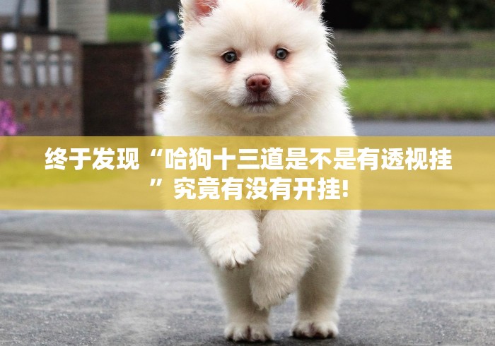 终于发现“哈狗十三道是不是有透视挂”究竟有没有开挂! 终于发现“哈狗十三道是不是有透视挂”究竟有没有开挂!