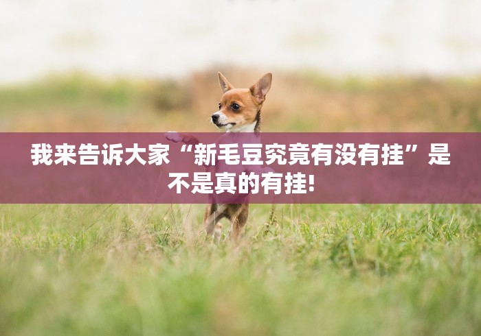 我来告诉大家“新毛豆究竟有没有挂”是不是真的有挂! 我来告诉大家“新毛豆究竟有没有挂”是不是真的有挂!